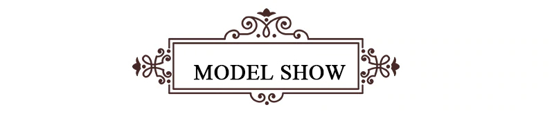 model (2)